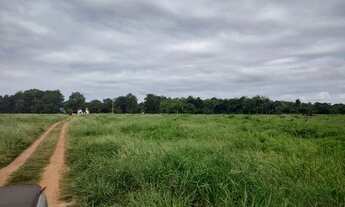 Imagem 5: Linda fazendinha de 211 Hectares..