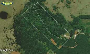 Imagem: Terreno 5 hectares
