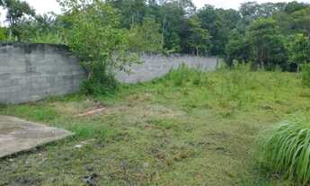 Imagem 3: Chácara com árvores frutíferas, apenas 135mil