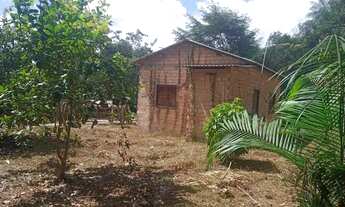 Imagem 6: Vendo essa casa Casa com 2 dormitórios