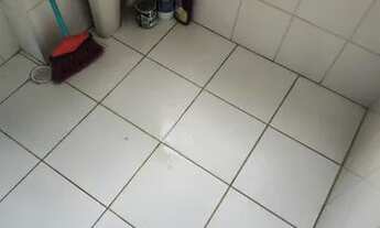 Imagem 5: LINDO APTO PARA LOCAÇÃO