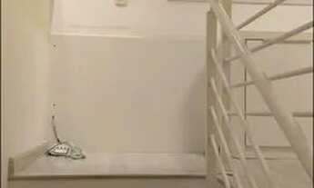 Imagem 7: Apartamento Duplex com 87m² para Venda - Vila Madalena - SP