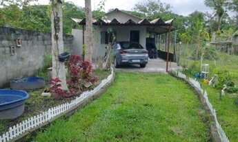 Imagem: Chácara com árvores frutíferas, apenas