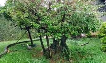 Imagem 5: Casa à venda com piscina 3 suítes 5 vagas no Jardim Prudência