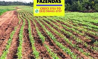 Imagem 4: Fazenda plantando região central Tocantins saindo a 84 mil por alqueires