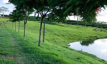 Imagem 2: Vende-se belíssima propriedade para lazer e renda á 5,5 km de distância da Rodovia Washing