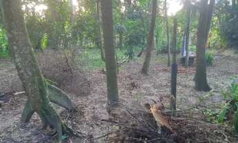 Imagem 4: Vendo casa 02 andares com terreno de 2.500 metros quadrados