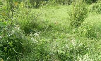 Imagem 6: Chácara dentro de Aparecida de Goiânia com água