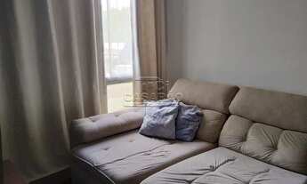 Imagem 7: Radialista Térreo Buriti