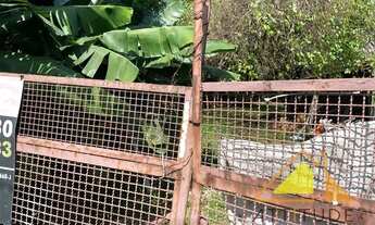 Imagem 2: Terreno à Venda - Osvaldo Cruz - São Caetano do Sul