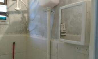 Imagem 5: Chácara com árvores frutíferas, apenas 135mil