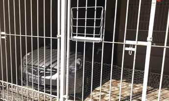 Imagem 6: JACAREí - Casa Padrão - Jardim Didinha