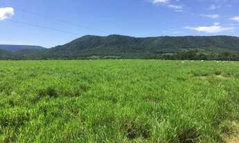 Imagem 4: Fazenda 315 há dupla aptidão agrovila das palmeiras - MT