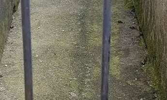 Imagem: Casa pra aluga em colombo