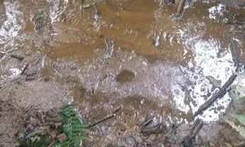 Imagem 5: Terreno 5 hectares