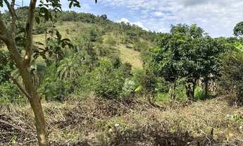 Imagem 4: VENDO CHÁCARA EM MOEDA - 2.300m²