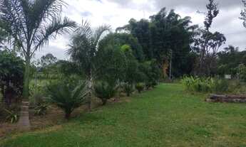 Imagem 2: Chácara ponte alta de cima, 2,6 hectares , muita água e pomar