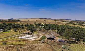 Imagem 5: FAZENDA PRODUTIVA|DUPLA APTIDÃO|AGRICULTURA|PECUÁRIA|LATICÍNIO