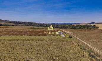 Imagem 2: FAZENDA PRODUTIVA|DUPLA APTIDÃO|AGRICULTURA|PECUÁRIA|LATICÍNIO