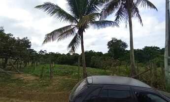 Imagem 2: SÍTIO ESCRITURADO ENTRE XURI E CÓRREGO SETE - 1.000 m