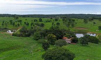 Imagem 5: Fazenda a venda, em Morrinhos - Goiás!!!
