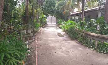 Imagem 4: Terreno na Parangaba