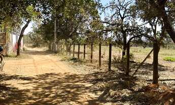 Imagem 7: Lote! Capoeira do bálsamo! Água de coco! Lago norte!