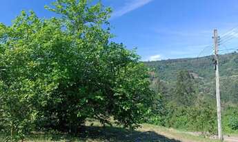 Imagem 5: Terreno bairro Esperança, Picada Café. RS REF: 270
