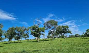 Imagem 4: A fazenda mais barata da região