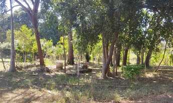 Imagem 2: Sítio 7 Alqueires, Brejão