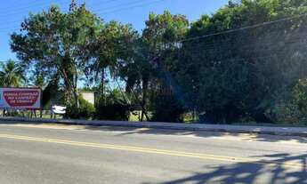 Imagem 3: Lote com 6.100 M² na beira da pista em Santa Mônica a venda em Guarapari/ES