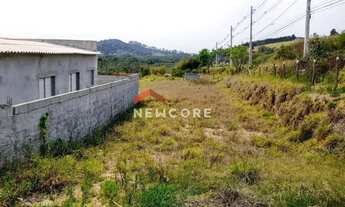 Imagem 4: Lote em Rodovia - Vista Alegre - Biritiba Mirim/SP