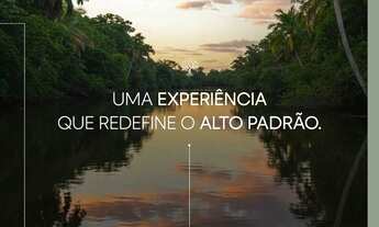 Imagem: Ara mira lançamento