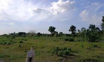 Imagem 7: Vende-se uma fazenda ?