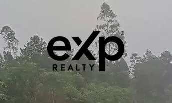 Imagem 4: Chacará em area rural com 10.000m² em Bocaiuva do Sul