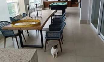 Imagem 2: APARTAMENTO - VENDA - LOCAÇÃO - Edifício Forest Hill Residence - Jardim Ubirajara - Cuiabá