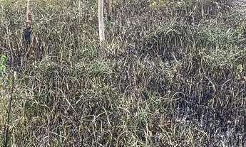 Imagem 3: Ótimo terreno para chácara