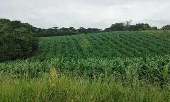 Imagem: Chácara à venda, 25.110 m2, Cachoeira
