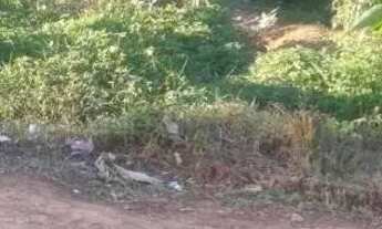 Imagem 4: Lote/ terreno / Taperoa bahia