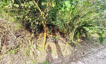 Imagem 5: Terreno residencial à venda, 750 m² por R$ 220.000 - Itaipu - Niterói/RJ - TE0117