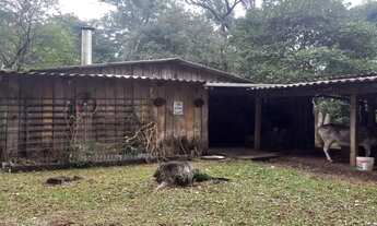 Imagem 12: Chácara Monte Bérico Caxias do Sul