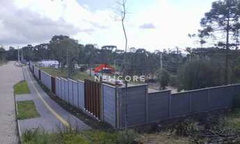 Imagem 4: Lote em Rua Leopoldo Stahnke - São Bernardo - São Francisco de Paula/RS