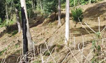 Imagem 3: Chácara Morro da Palha - 12.391 m² - Campo Magro/PR - R$ 200.000 (ACEITA CARRO