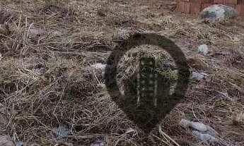 Imagem 2: TERRENO A VENDA NO JARDIM LETICIA, CAMPO GRANDE 128,00 M²