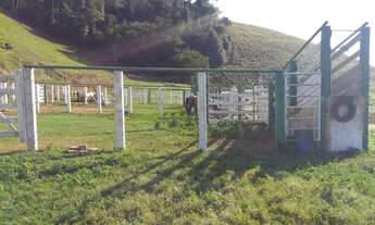 Imagem: Ótima fazenda em Mimoso do Sul - ES