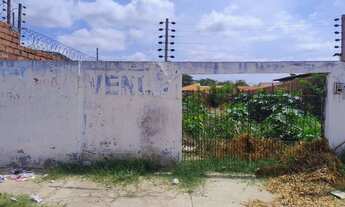 Imagem 2: Terreno 10x30, na Rua José Clemente, 2304, no bairro Primavera, ao lado da AMA