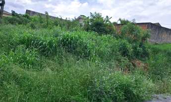 Imagem 2: Terreno campina grande /jardim Jacob ceccon