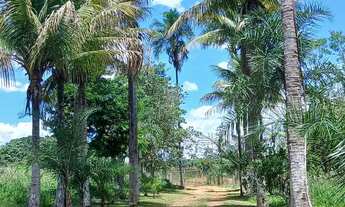 Imagem 3: CHACARA FORMADA. PORTEIRA FECHADA