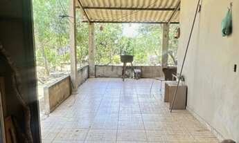 Imagem 5: Rancho frutífero no Monjolo