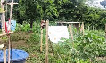 Imagem 3: Vendo ou troco uma chácara completa